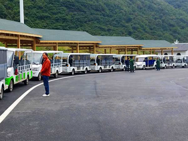 貴州天上花海景區采購力乘燃油觀光車